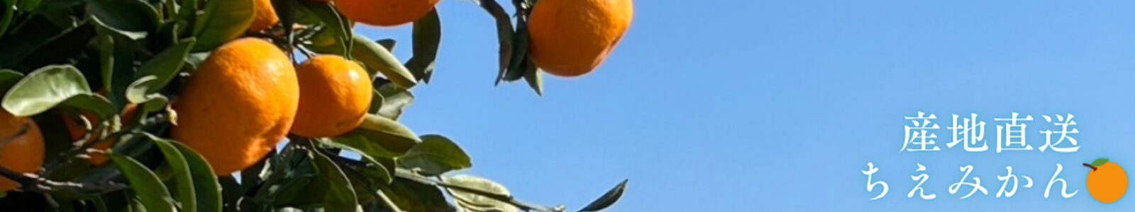 ちえみかん🍊