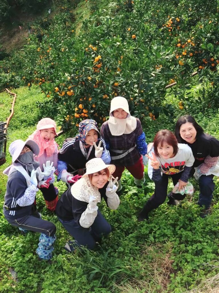 私たちが丁寧に1つ1つ収穫してお送りしています。