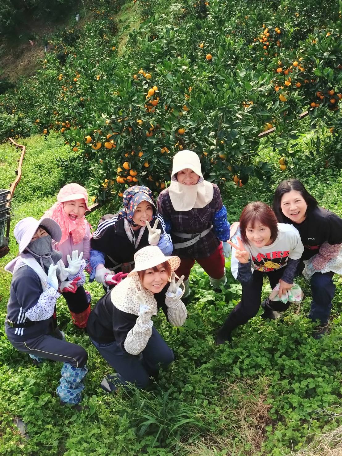 ちえみかん🍊